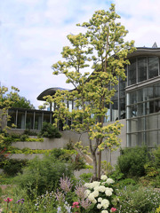 花の美術館園庭