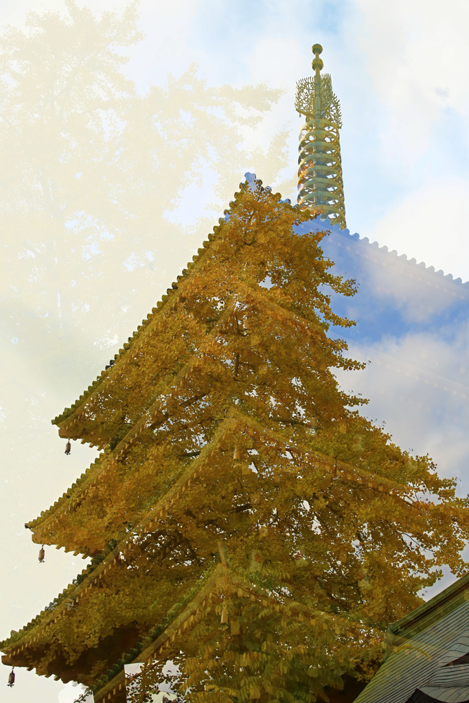 高幡不動Ⅱー塔の居心地は如何？
