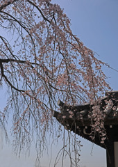 東郷寺ー悠久の美Ⅰ