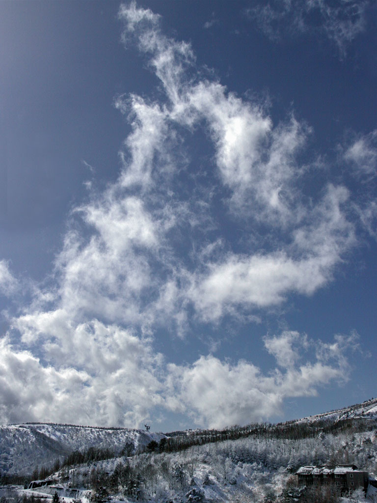 春の兆Ⅱしー山編-1
