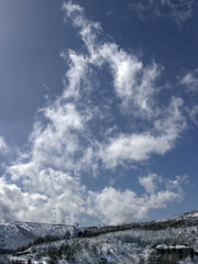 春の兆Ⅱしー山編-1