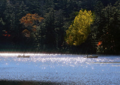 秋の光の中で遊ぶ-1