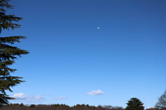 大空へ