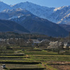 春待つ里山