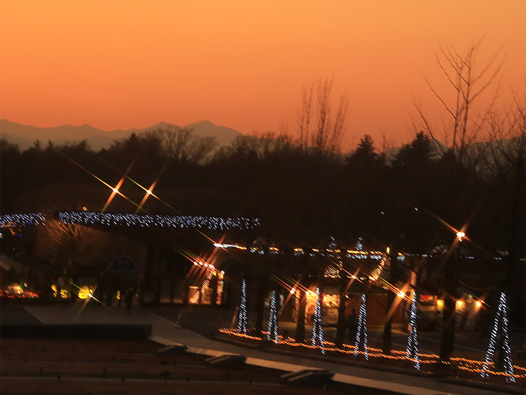 夕焼け小焼けのX’masｉｎ昭和記念公園