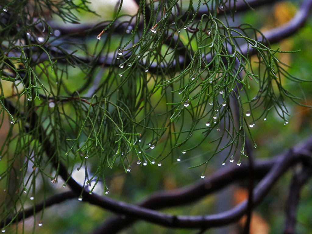 濃霧に覆われた街ー松露Ⅱ