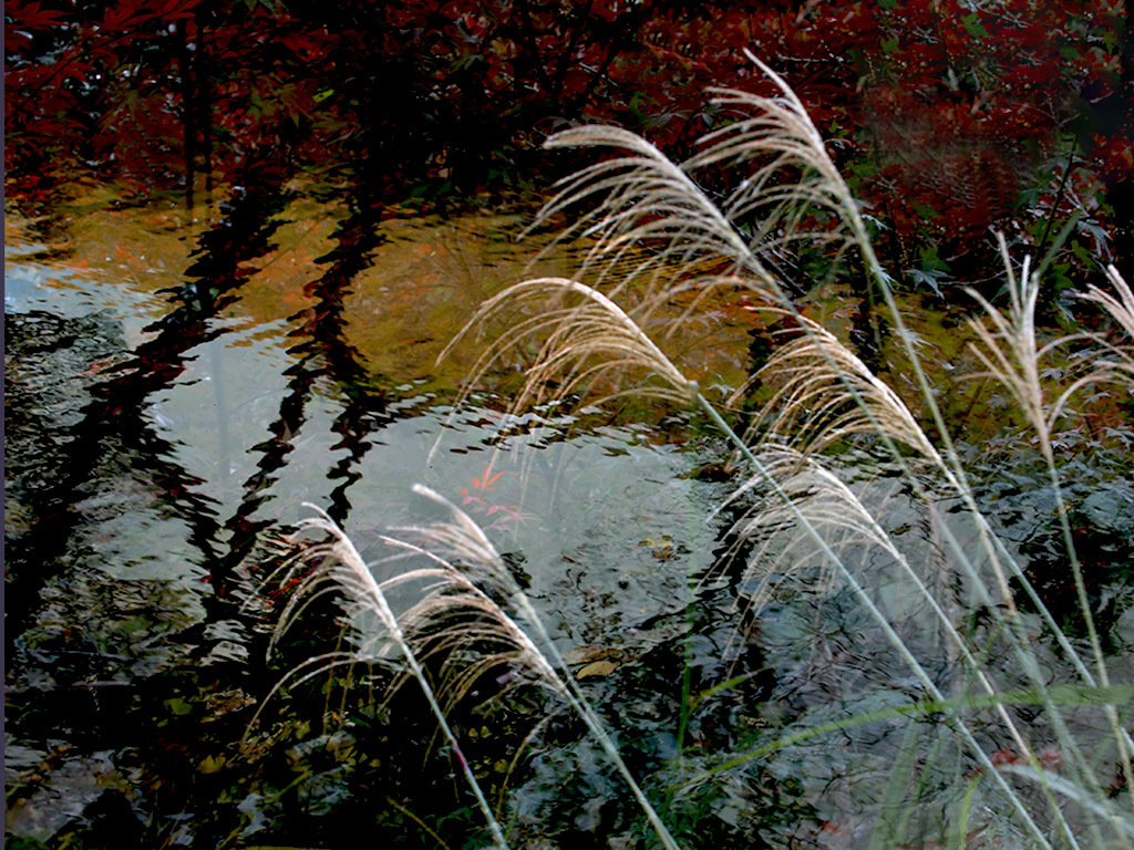 秋ー揺らめいて