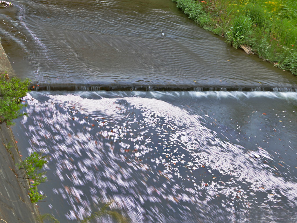 晩春の流れーさくら帯3