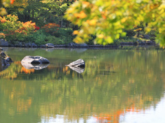 日本庭園の秋-昭和記念公園