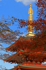 高幡不動Ⅱー五重塔、相輪の輝き