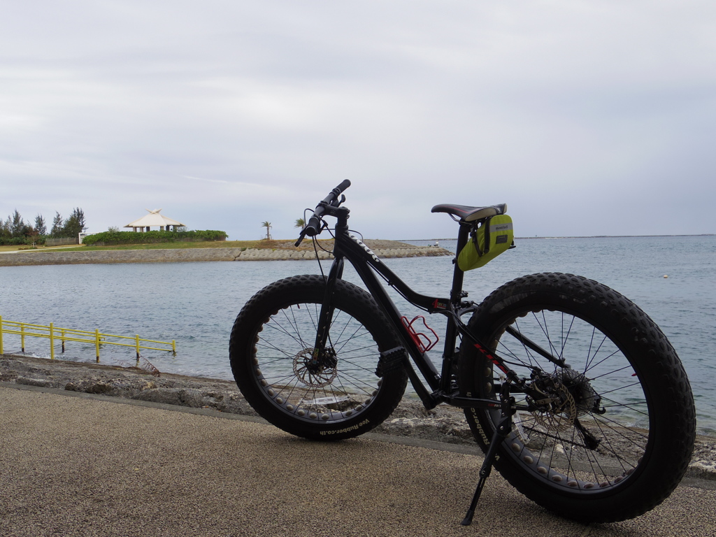 自転車とQ-S１と