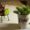 table photo