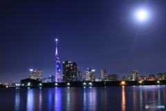 福岡タワーと月のある夜景