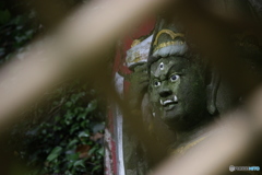 南蔵院の石像(2)