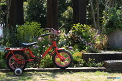 赤い自転車