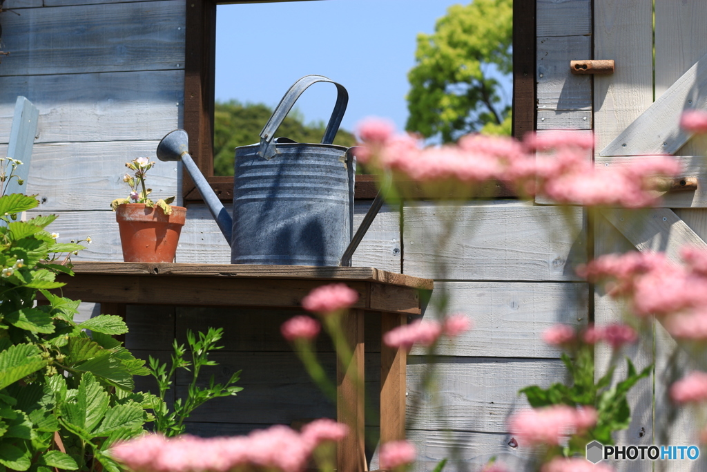 garden(2)