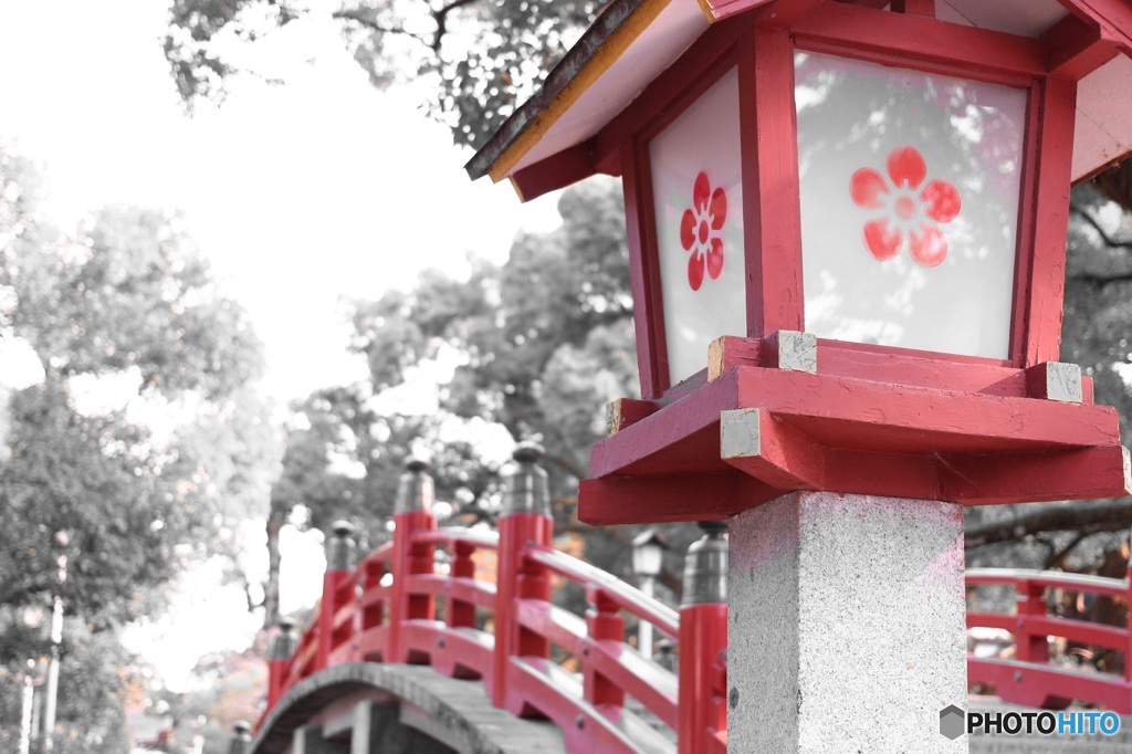 大宰府天満宮 太鼓橋