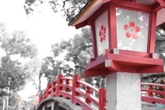 大宰府天満宮 太鼓橋