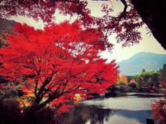 金鱗湖、紅葉