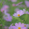 ひとりじゃ　ないよ