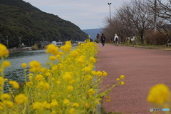 ほどよい距離感