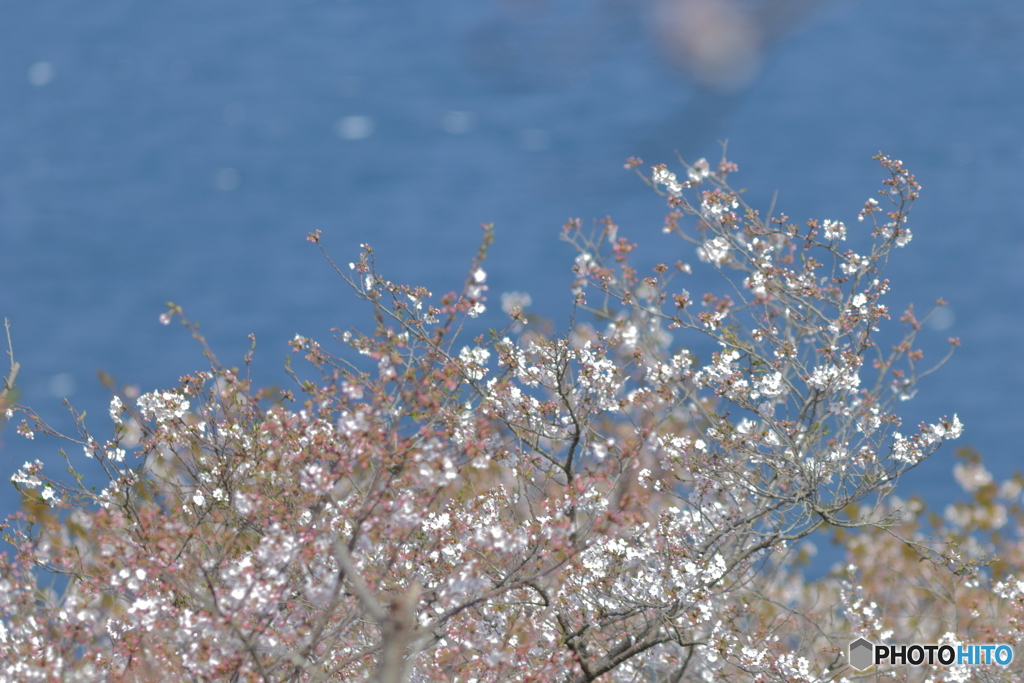 さざなみ