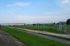 多摩川河川敷