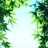 上か下か