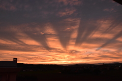 沈む夕日を追うモノたち