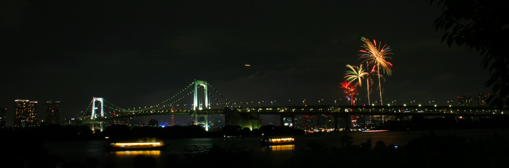 2009東京湾大華花火大会