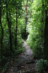 Trail, Costa Rica