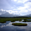 尾瀬ヶ原, 群馬