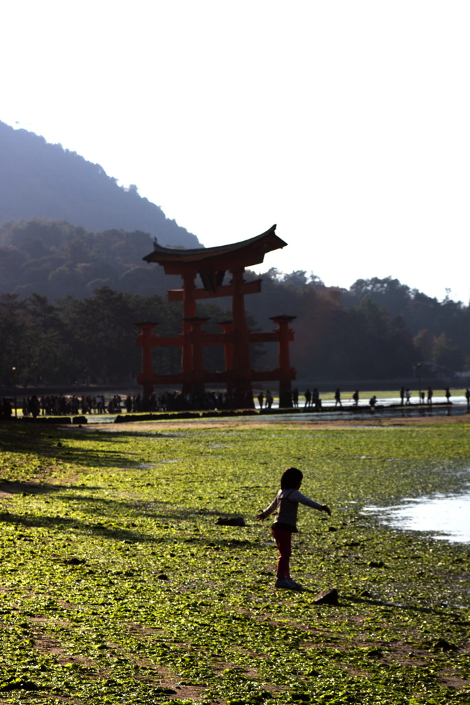 厳島神社, 広島