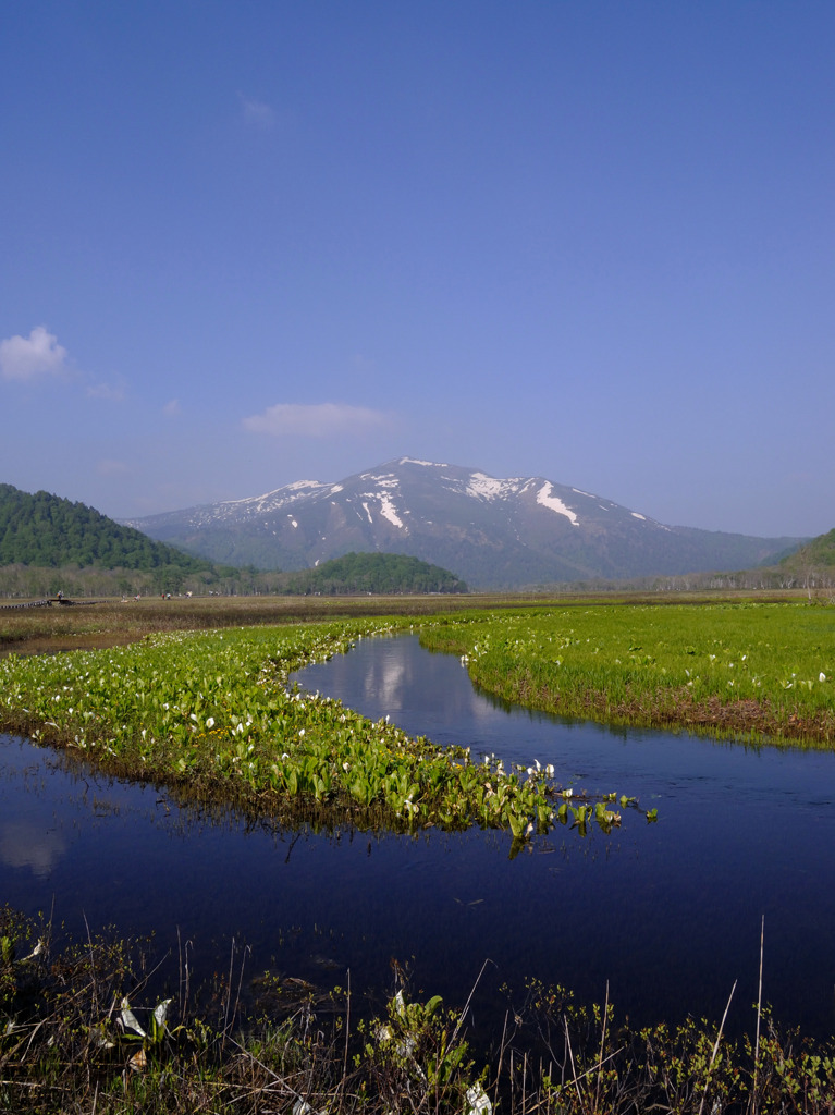 尾瀬ヶ原, 群馬