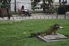 Guayaquil, Ecuador