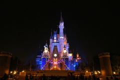 25周年　TDL