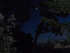 月