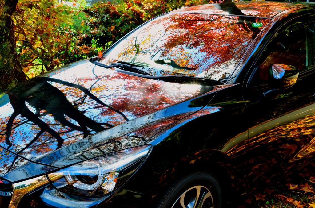 デミ男さんと紅葉狩り