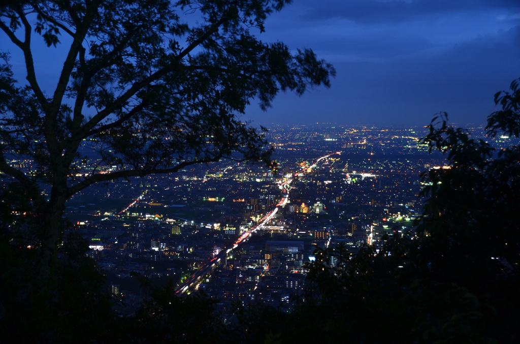 岐阜城からの夜景