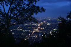 岐阜城からの夜景