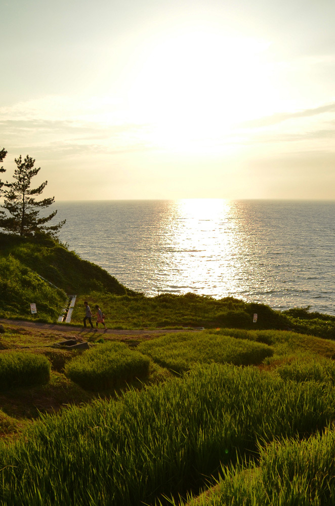 田んぼと海