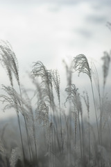 2008秋