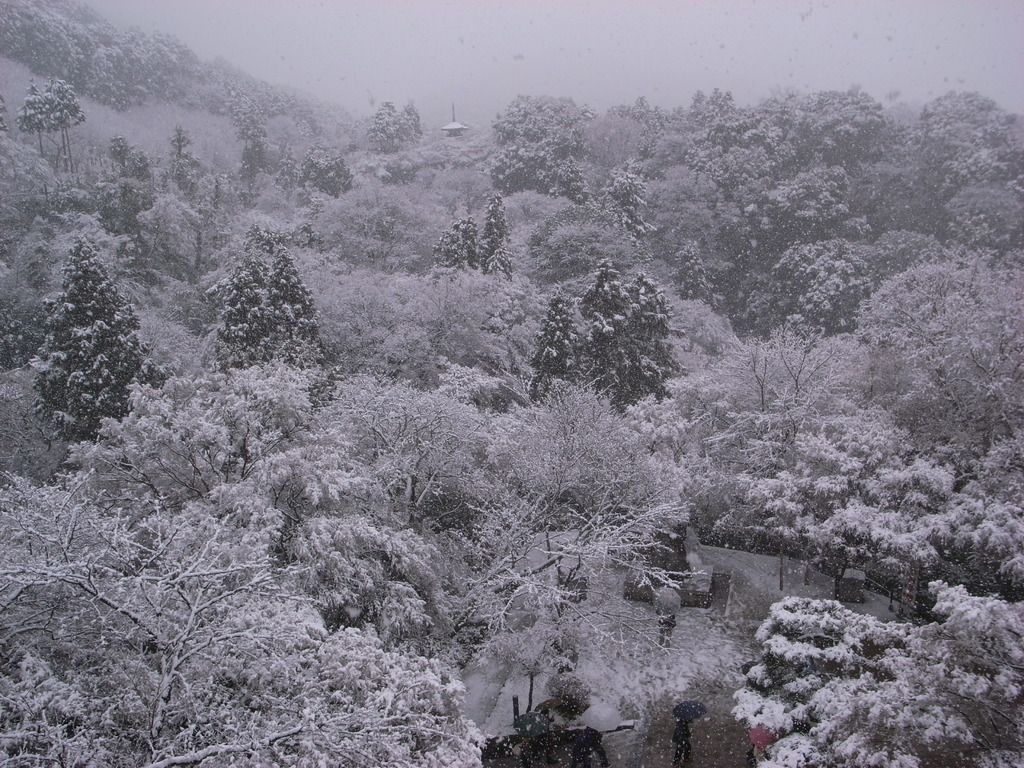 京都　清水寺の舞台より