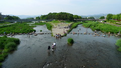 京都　鴨川　賀茂大橋より