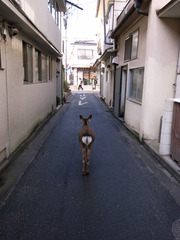 お出かけしよ～っと