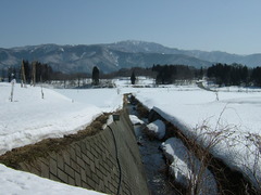 DSCF1334