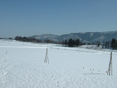 DSCF1330