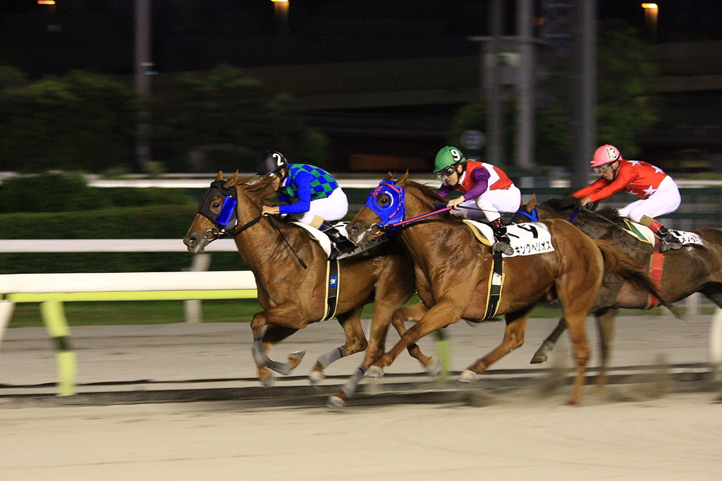 当たらぬ競馬（涙）