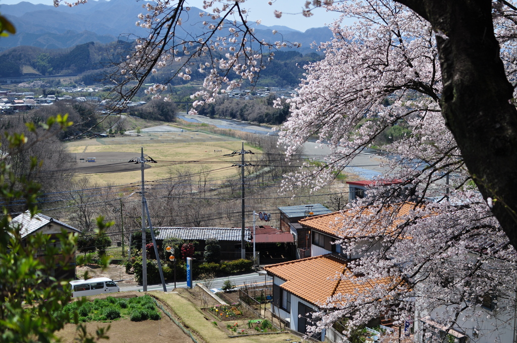 一峰公園から