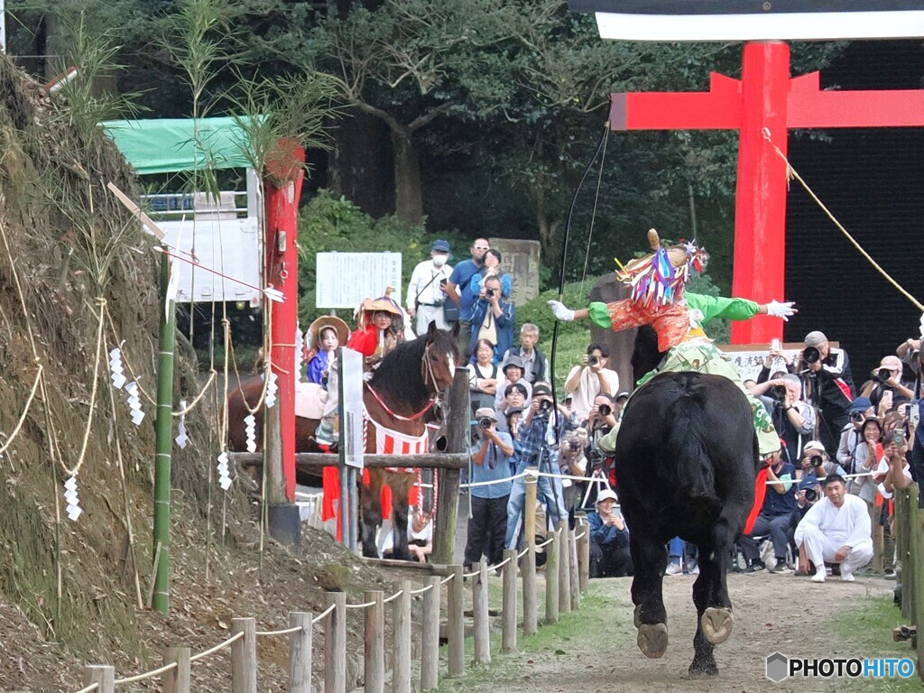 的を射る